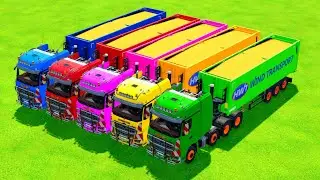 TRANSPORTING COLORFUL RAINBOW TRAILER TRUCKS - ANIMAL FEED 3 - Farming Simulator 22