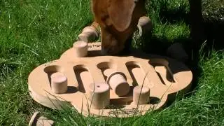Hondenpuzzel Nina Ottoson Dogfighter
