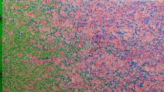 Visual Reservoir - Episode Three: Polymer Flooding