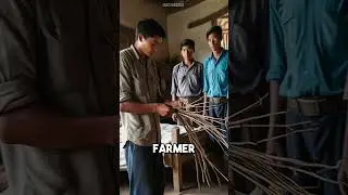 The Farmer and his Four Sons! #shorts #story