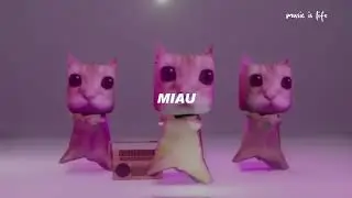 ay mi gatito miau miau