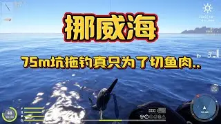 Russian fishing 4【海钓教学教程】在家烦闷那就钓鱼。适用新手入门攻略，挪威海5小时拖钓，本来为了切绿青鳕鱼块，结果发现稀有鱼鱼口还行？