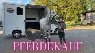 MY NEW HORSE - I'm picking up my new horse! 🚛🐴