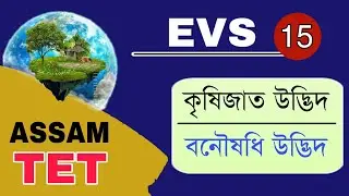 Assam TET 2021 || Cultivated Plants and Medicinal Plants || Environmental Studies || Video 15