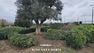 Aylin - Blue Lake