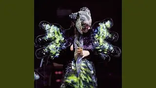 Stonemilker (Live)