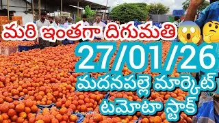 27-01-26 Madanapalle Tomato Market price Today || Today Tomato Market Rate in Madanapalle #today
