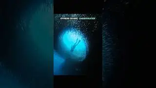 Others diving underwater VS The last one😳 #trollface #edit #troll #fyp #usa