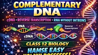 What is Complementary DNA/cDNA/reverse transcription/RNA without introns/ class 12/Biology