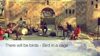 There will be birds - Bird in a cage