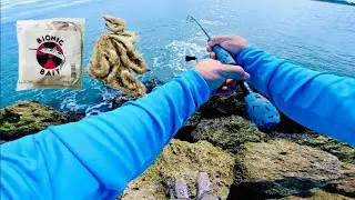 I USED THIS STINKY SHRIMP BAIT FOR FISHING AND THIS IS HOW IT WENT 