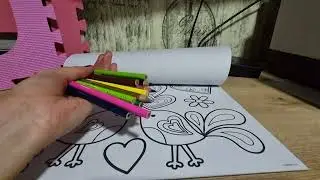 ASMR/ Coloreando