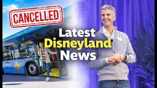 Major Disneyland Changes Confirmed &mdash; New CEO, Good Neighbor Hotels Change, Weddings, Closures & More