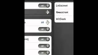 LockInfo Settings