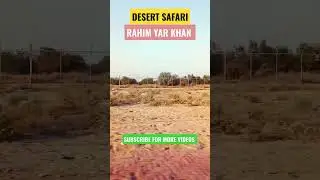 Desert Safari Rahim Yar Khan #viralshort #desert #barbeque #beautifulnature #desertsafari