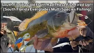 South Florida Cold Front Had These Fish Fired Up!!!(South Florida Everglades Multi Species Fishing)