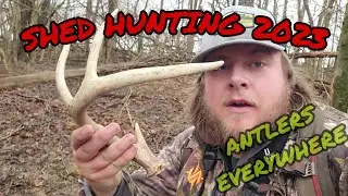 Shed Hunting 2023, Antlers everywhere!!! (OHIO)