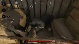 Hunt showdown Highlight Clips 16