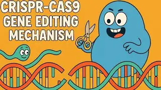 CRISPR-Cas9 Explained in 2 Minutes | Gene Editing Made Simple.