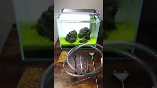 How I clean my nano planted aquarium 😄 Having some fun creating my first stop motion video!