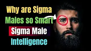 Decoding Sigma Male Intelligence: What Makes Them Exceptionally Smart?