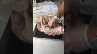 Day 1 Part 1 Pig Dissection