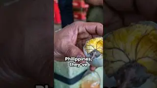 Exotic foods across the world 🫣#weird #shorts #trending #food