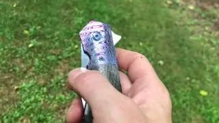 Steve Skiff Accomplice (Guest Blade)