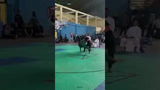 #pencaksilat #kapolrescup #pagarnusa
