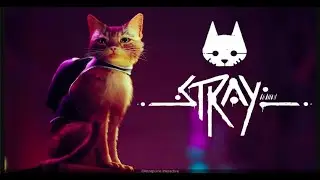 STRAY agréable ! (découverte) Benzaie Live