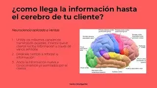 Neuroventa: &iquest;como llega la informaci&oacute;n hasta el cerebro de tu cliente?