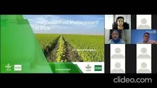 Strategies to reduce the use of highly hazardous pesticides (HPP)