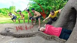 Horrifying! Brave Hunters Rescue Girl from a Ferocious Giant Python