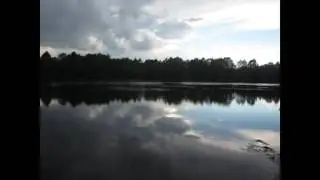 Late afternoon at small lake near University of North Florida