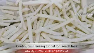 industrial type continuous freezing tunnel for Frozen french fries IQF freezer tunnel