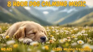 8 Hours Stress Relief Music | Waltham Petcare Institute Study | 528Hz