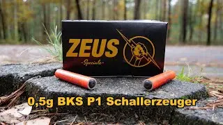 Zeus Reibkopfb&ouml;ller gegen CobraP1