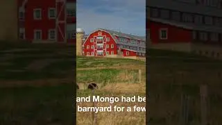 The mouse and the car chapter 3 the barnyard adventures (first 30 seconds)