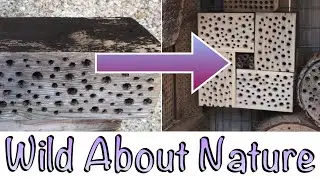 How To Restore & Repurpose An Old Bug Hotel That’s No Longer Used By Bees