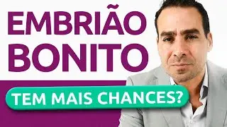 Qualidade dos Embriões Após os 40 Anos