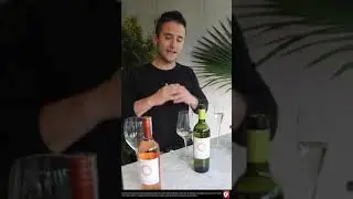 Vinos del mundo