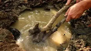 How To Purify Water With Rocks
