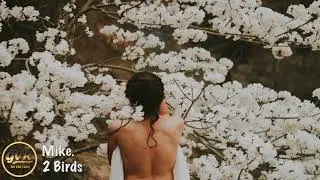 Mike. - 2 Birds
