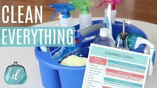 CLEAN YOUR ENTIRE HOUSE WITH DIY CLEANERS! 🍋 What's in my cleaning caddy?