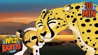 Cheetah Reunites with Cub | Creature Rescue | Wild Kratts