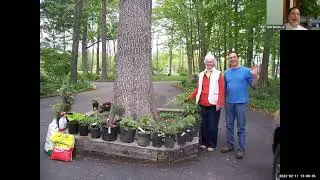 Creating Design in the Collector's Garden