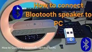 How to Connect a Bluetooth Speaker to PC (Windows 10/11) | USB Bluetooth Adapter Setup Guide 2025