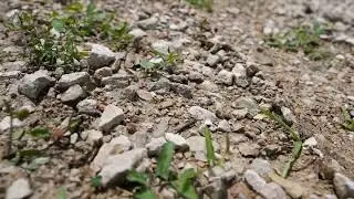 UNBOUND 200 Gravel - Men hit Divide Road
