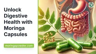 Moringa Capsules for Digestion: Natural Gut Health