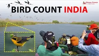 Bird Count India